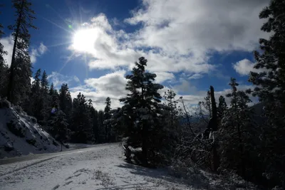 DSC_0784 (Large).JPG